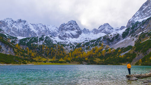 Vibrant autumn vibes at seebensee, framed by snow-dusted mountains