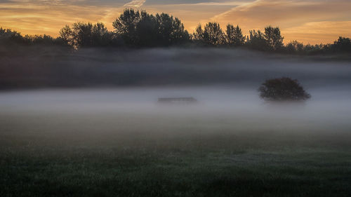 Leinemasch bei maschsee am morgen