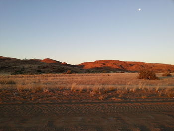 Scenic view of landscape against clear sky