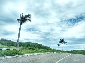 Palm trees by road against sky