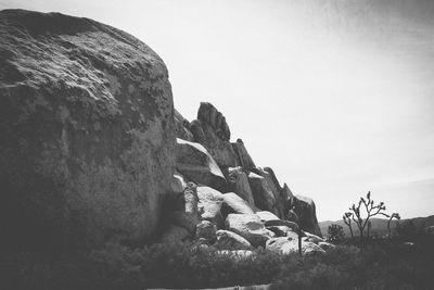 Trees on mountain against sky