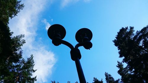 Low angle view of trees against blue sky