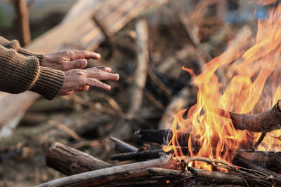 Close-up of bonfire on wood