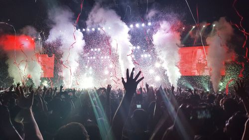 Excited fans with arms raised at concert