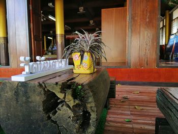 Potted plants on table by window in building