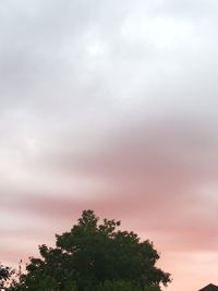 Low angle view of trees against sky