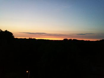 Silhouette of trees at sunset