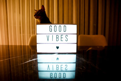 Cat with illuminated information sign on table