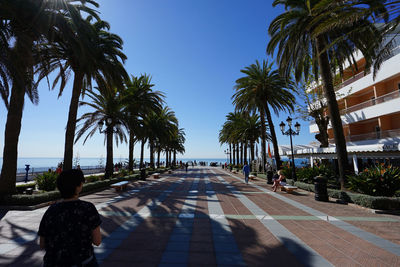 Palm trees by swimming pool in city against clear sky