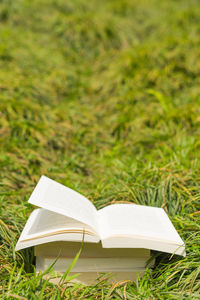 Close-up of open book on field