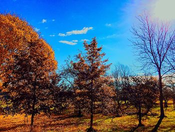 Silhouette of trees on field against cloudy sky