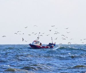 Scenic view of sea