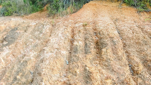 Full frame shot of rock on land