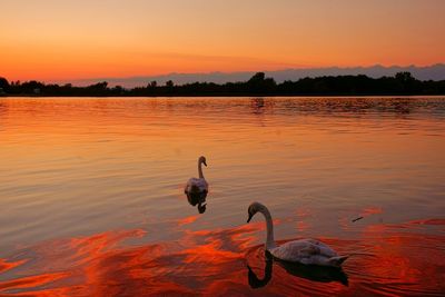 Scenic view of lake at sunset