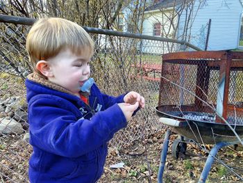 Children playing on fence