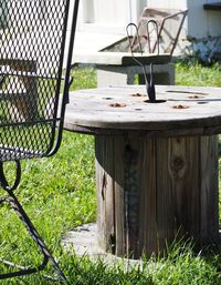 Plant growing in yard