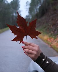 Close-up of hand holding maple leaf during autumn