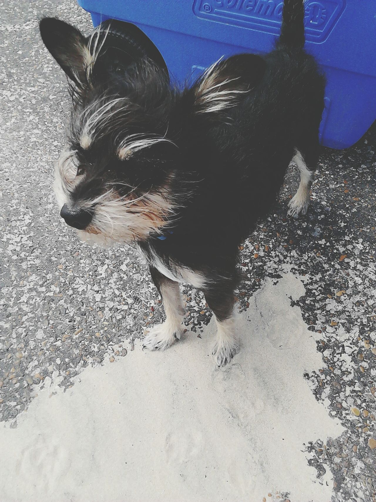 Port Isabel