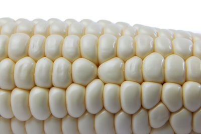 Close-up of corn