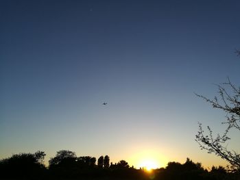 Low angle view of silhouette trees against clear sky