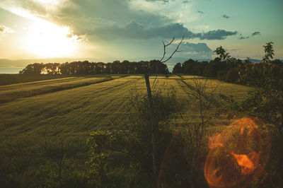 Scenic view of field against sky during sunset