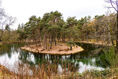 Scenic view of lake in forest against sky