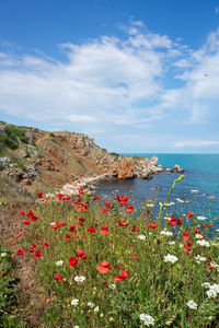 Scenic view of sea against cloudy sky