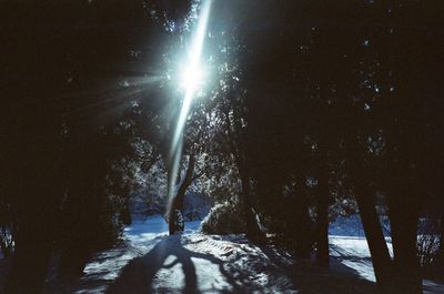 Silhouette trees against sky during winter