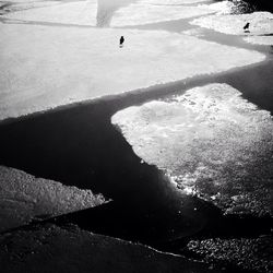 Reflection of road in puddle