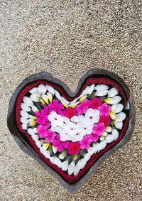 Directly above shot of flowers