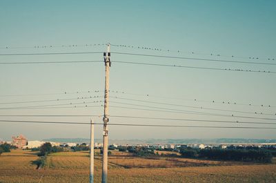 Flock of birds flying against sky