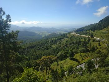 Scenic view of trees and mountains against sky