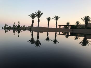 Palm trees against sky during sunset