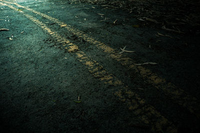 Road in autumn