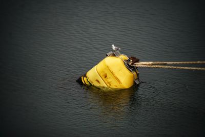 High angle view of boat in sea