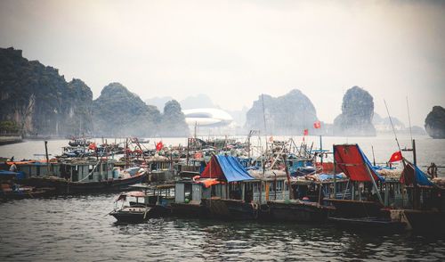 Boats moored in bay against sky