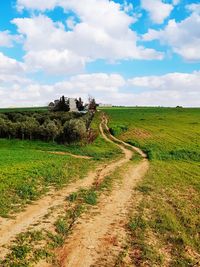 Dirt road amidst agricultural field against sky