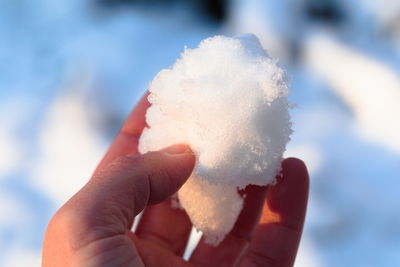 Close-up of hand holding snowball