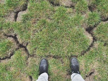 Low section of person standing on grassy field