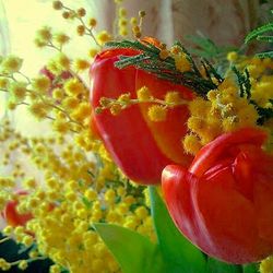 Close-up of red flower