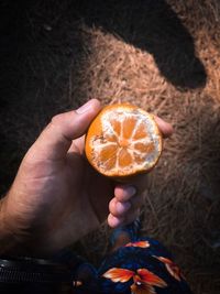 Cropped hand of person holding orange