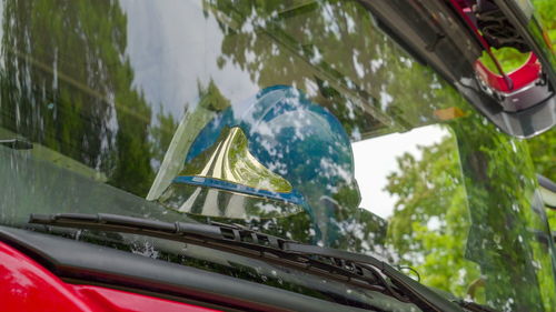 Close-up of car against trees