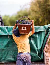 Rear view of man working with food