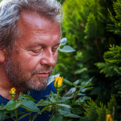 Close-up of mature man smelling yellow rose blooming outdoors