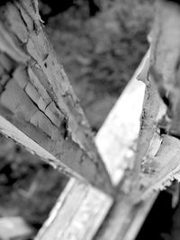 Close-up of wooden plank