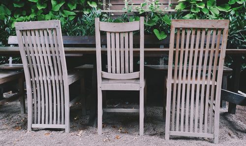 Potted plants on table in yard