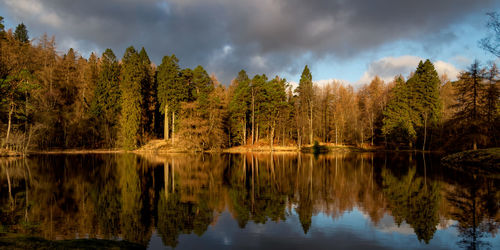 Scenic view of lake in forest against sky