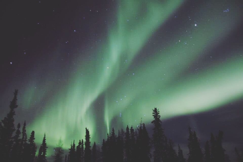 PANORAMIC VIEW OF TREES AGAINST SKY AT NIGHT