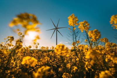 Wind turbine in yellow field