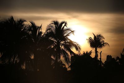 Silhouette trees against sky during sunset